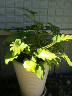 rblog-20140320093827-00.jpg
