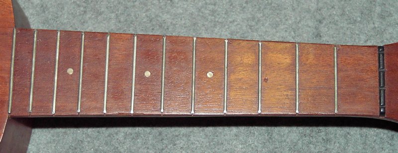 luna350-057.jpg