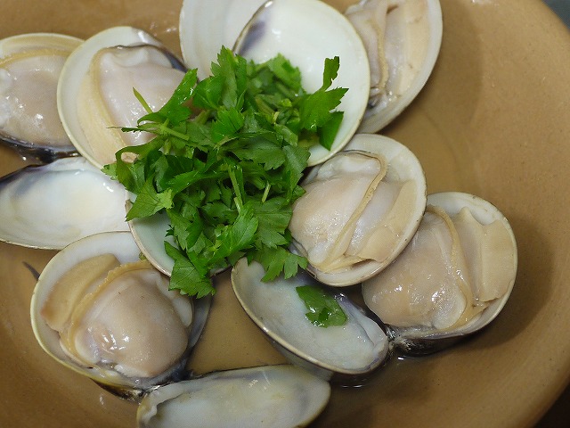P1170854.jpg