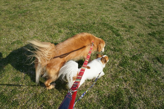 2014-0423-07.jpg