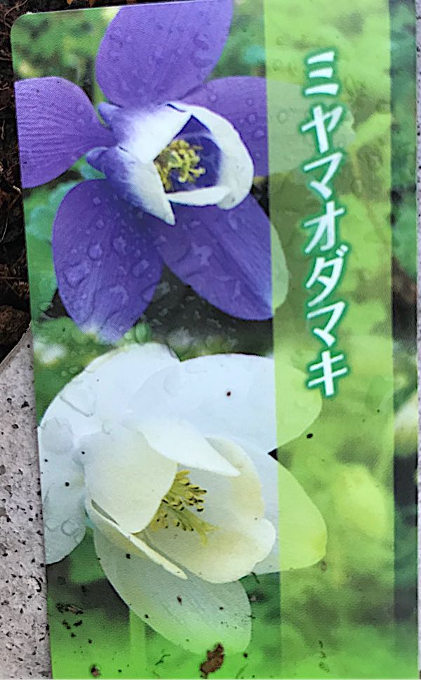 rblog-20180328191025-06.jpg