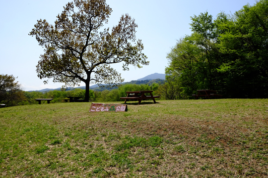 2016 04 15_3165.jpg
