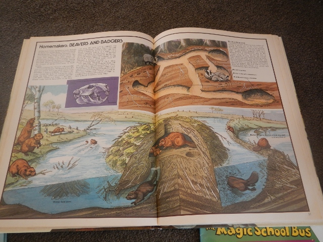 DSCN4158 (640x480).jpg