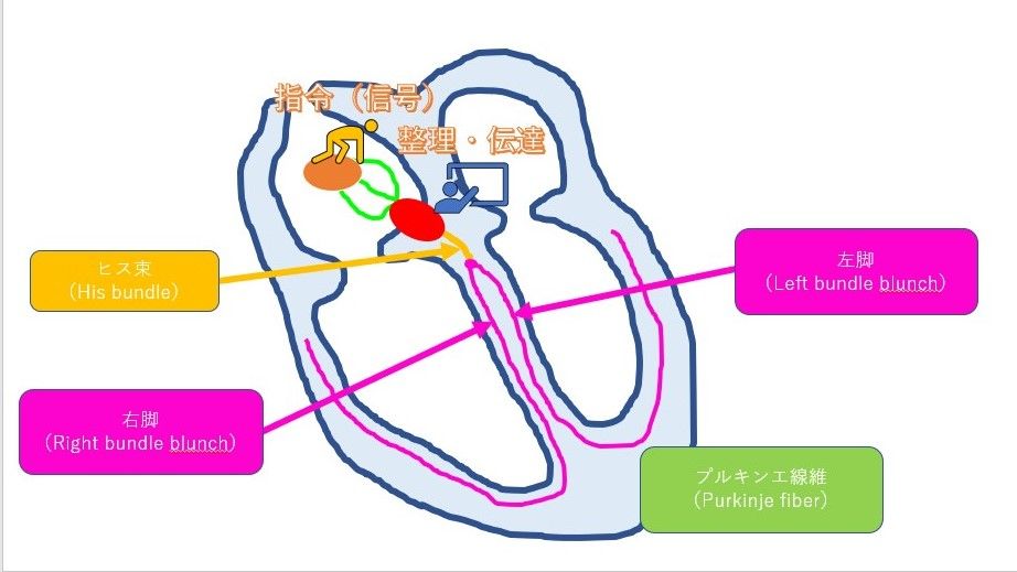 プルキンエ不整脈 | 書籍詳細 | 書籍 | 医学書院
