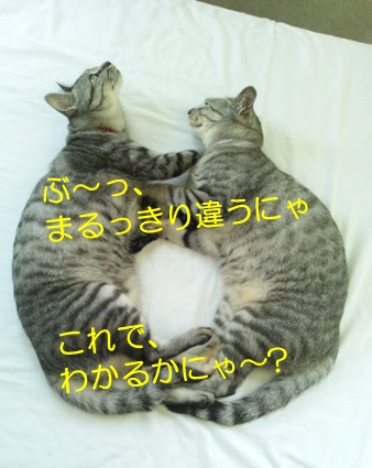 20120909_3.jpg