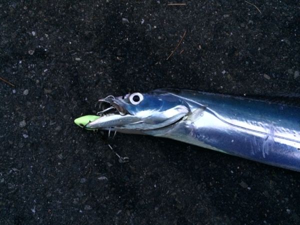 rblog-20140904004834-02.jpg