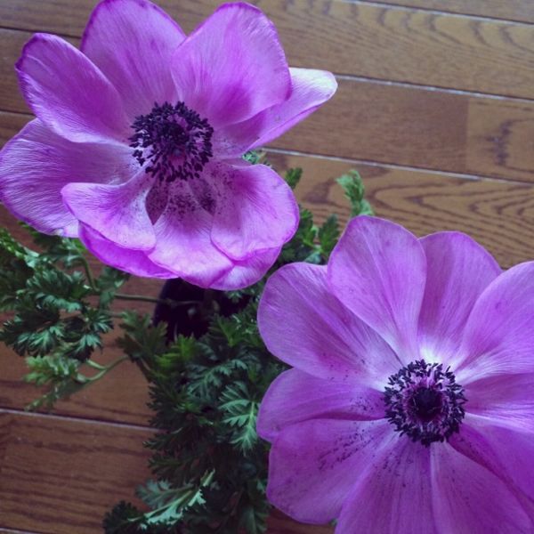 rblog-20140225162142-01.jpg