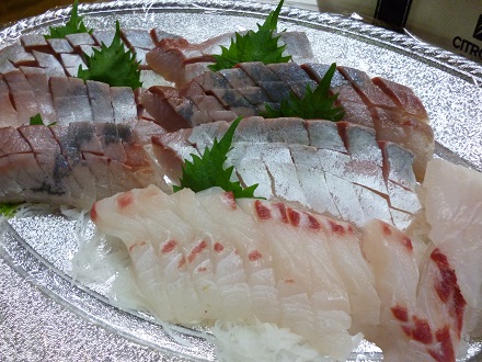 P1000921.jpg