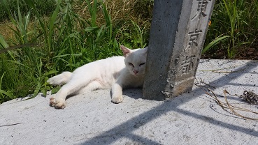 20160601_124915.jpg