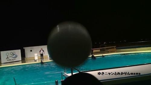 20120723202924(15).jpg