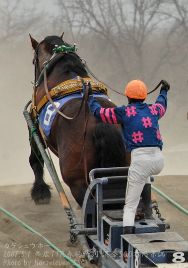 08Kageshuho050107Ob11R_02