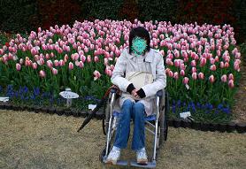 チューリップ祭り4