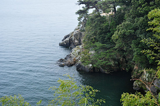 海