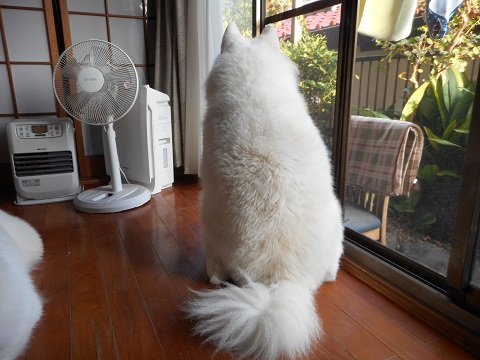 DSCN0563.JPG