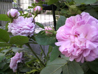 2012-04-20 10:22:20