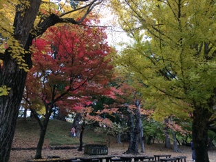 aizu20.JPG