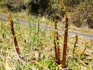 rblog-20140324231659-00.jpg