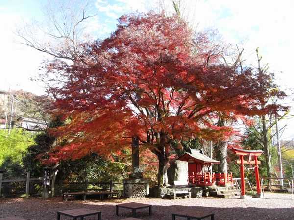 紅葉の猿橋を見に行こう やま かわ 豊かな自然 大月探訪記 楽天ブログ