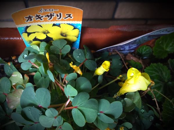 rblog-20150222132242-02.jpg
