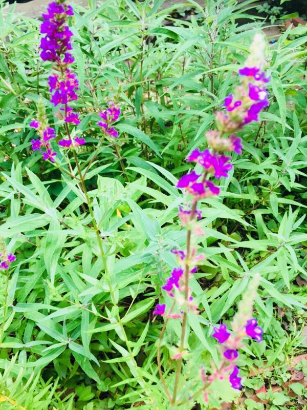 rblog-20180707150634-01.jpg