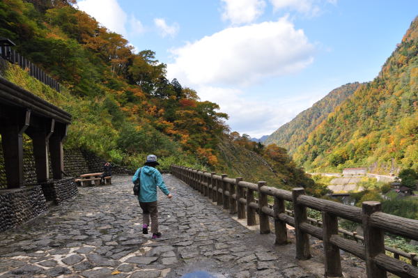 称名滝　紅葉