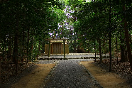 IMG_9868.jpg