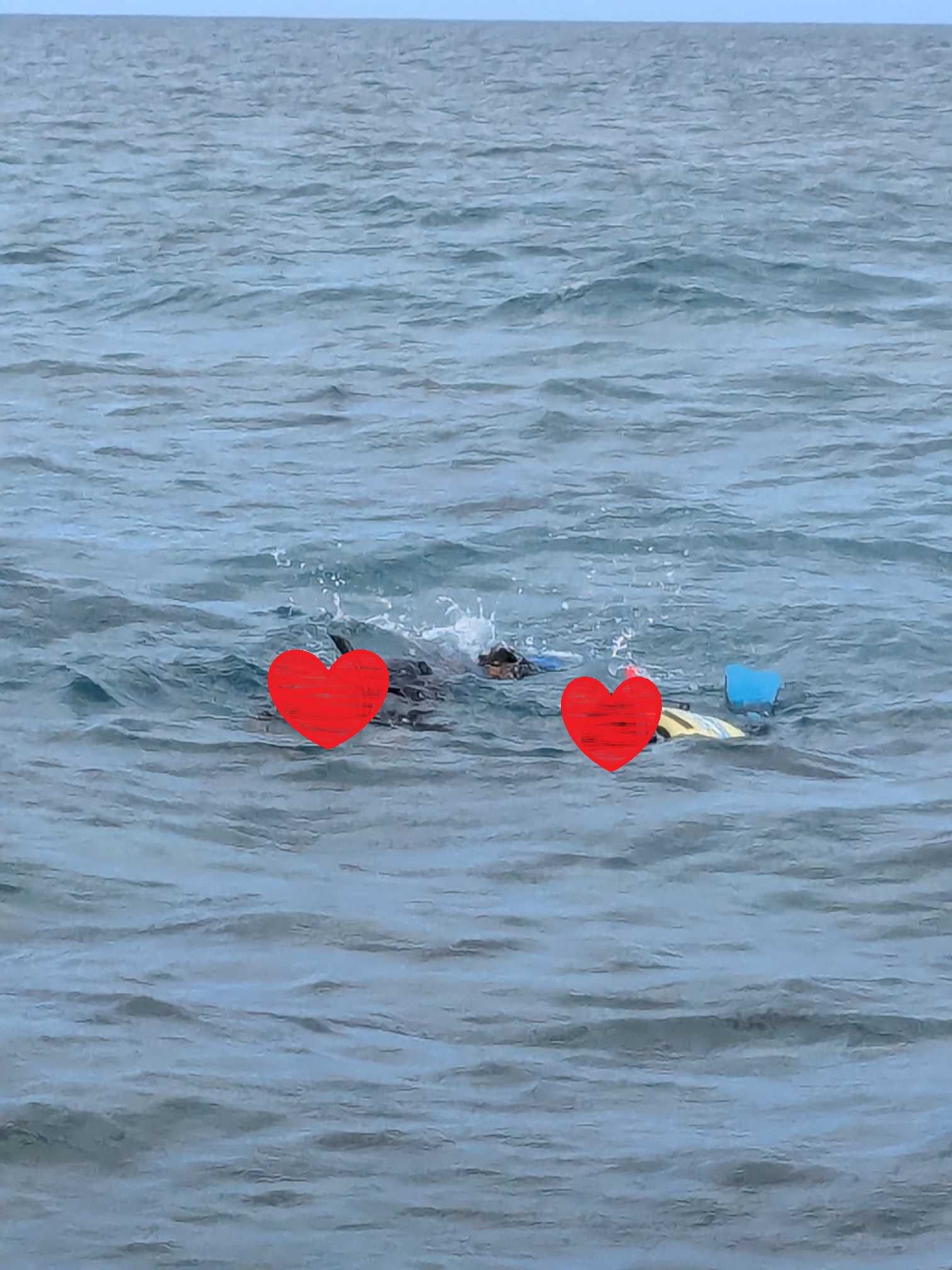 西表島　海猫　アクティビティツアー　子連れシュノーケル