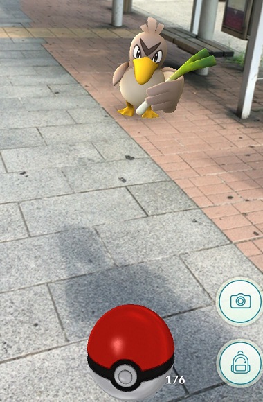 ポケモンGO　カモネギ