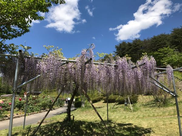rblog-20170517160914-07.jpg