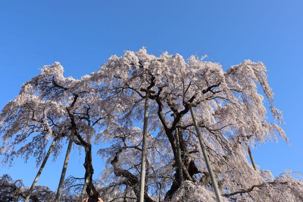 rblog-20180425011639-02.jpg