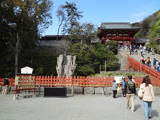 DSC03705.jpg