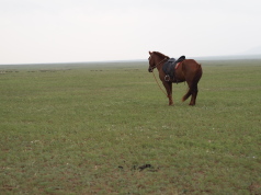 20150813P813600739.jpg