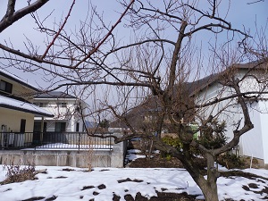 P1000100.JPG