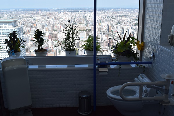 男子身障者用トイレからの眺め