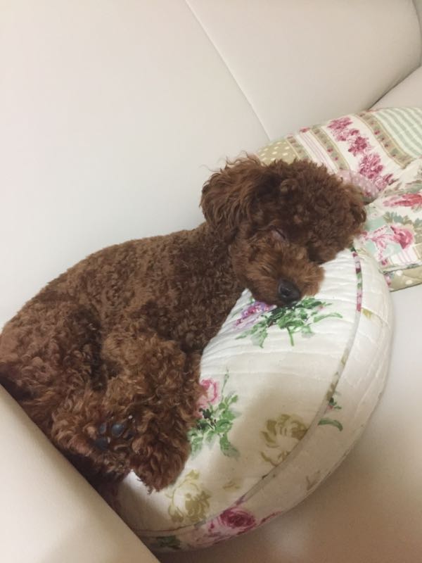 rblog-20161012200559-01.jpg