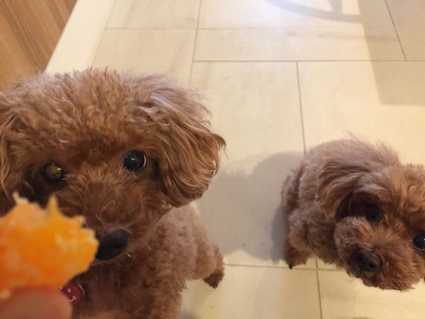 rblog-20161209112305-01.jpg