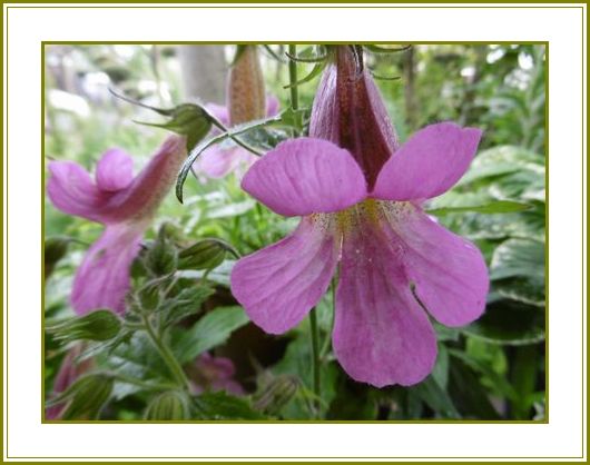 科学的証拠は乏しい