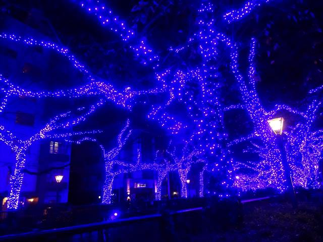 DSC08912_R.JPG