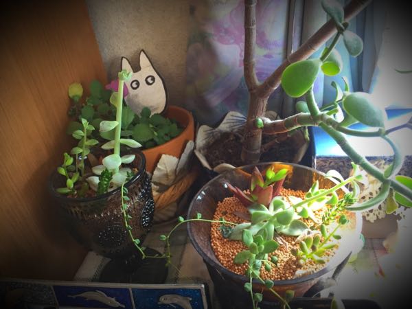 rblog-20160322133352-06.jpg
