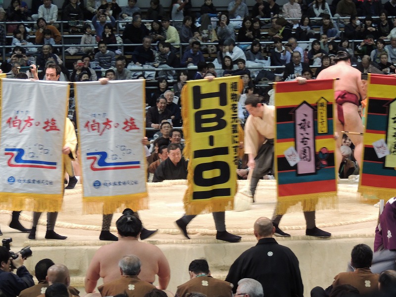 sumo5