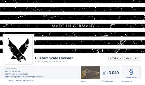 CustomScaleDivision.jpg