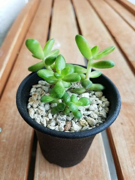 rblog-20170807142153-05.jpg