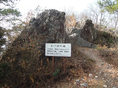DSCN2639s.jpg