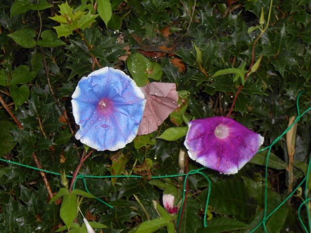 DSCN0395.JPG