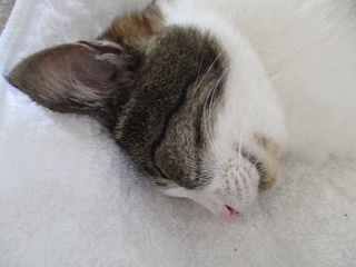 IMG_6199ss.jpg