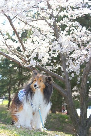 IMG_8037.jpg