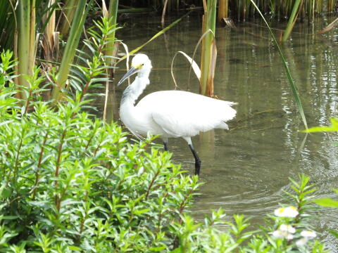 小池公園にて