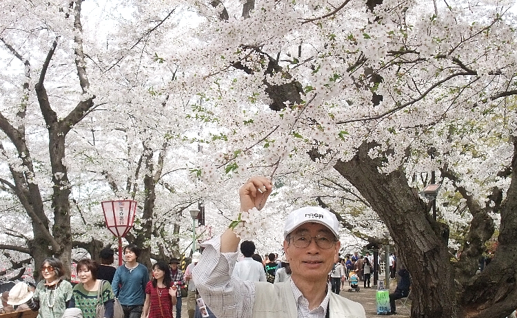 2012東北の桜巡り（弘前公園４）.jpg