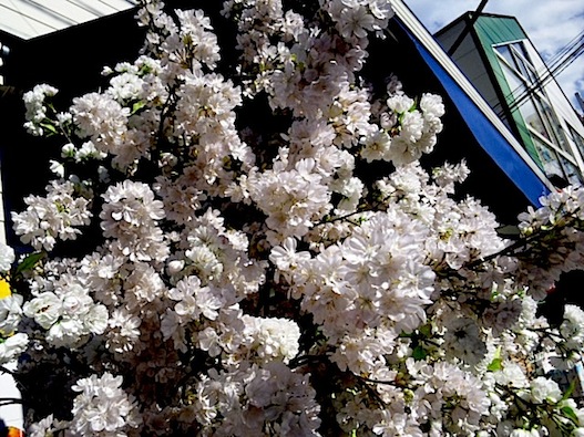 120404_151229.jpg