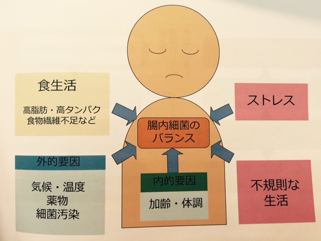 腸内フローラ アトピー.jpg